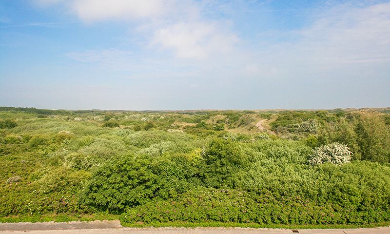 Ausblick vom Balkon des Penthouse auf dem Dach des Hotels