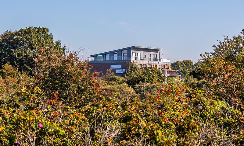 Herst in den Dünen rund um das Dünenhotel Borkum