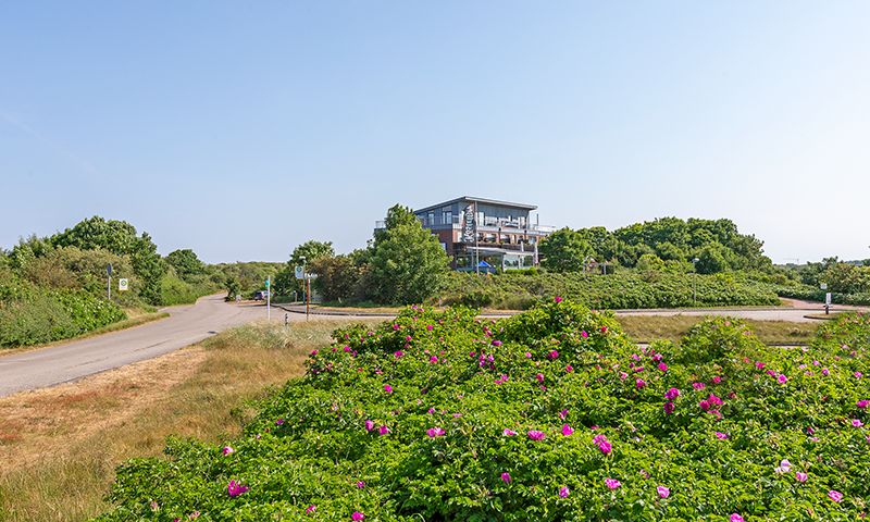 Ruhige Lage im wilden Ostland der Insel Borkum