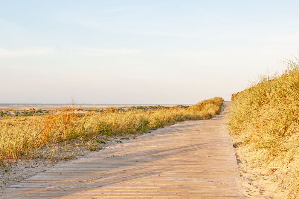 Wanderweg in den Dünen